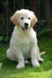 2016-09-26 4a 12.Wo.jpg