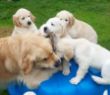 IMG-20161015-WA0009.jpg