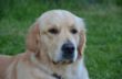 IMG-20160608-WA0011.jpg