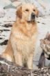 DSC_6423.JPG