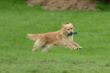 DSC_7918.JPG