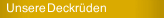 Unsere Deckrüden